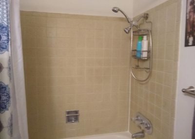 Roxbury South Fab Four Shower